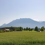 Gluehwuermchen