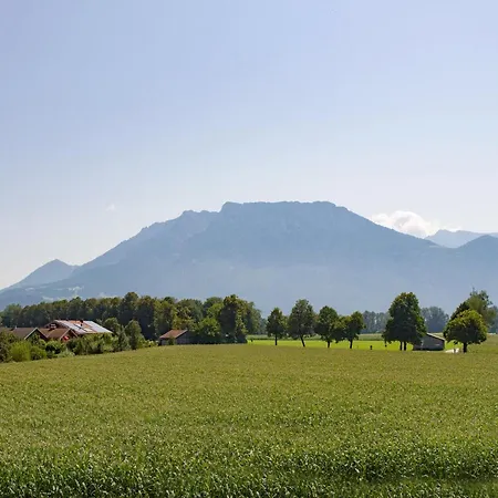 Gluehwuermchen